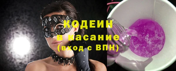 хмурый Аркадак