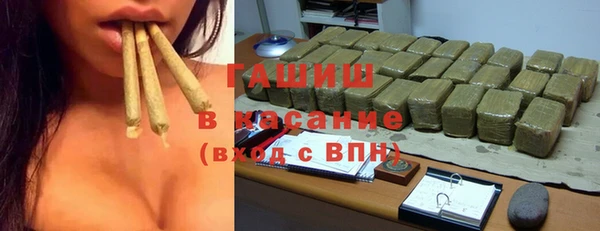 хмурый Аркадак