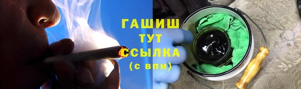 хмурый Аркадак