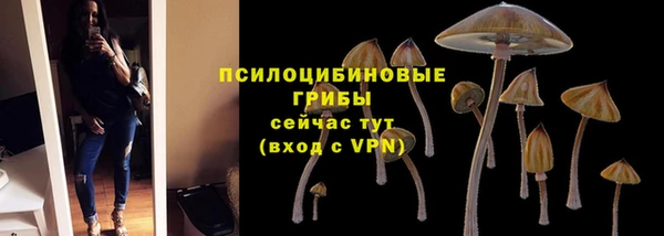 дмт Армянск