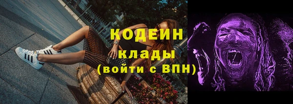 хмурый Аркадак