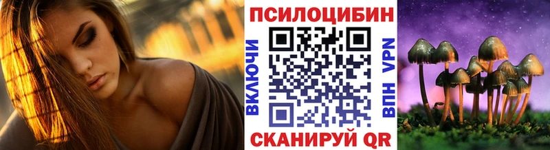 Галлюциногенные грибы мицелий  Новороссийск 